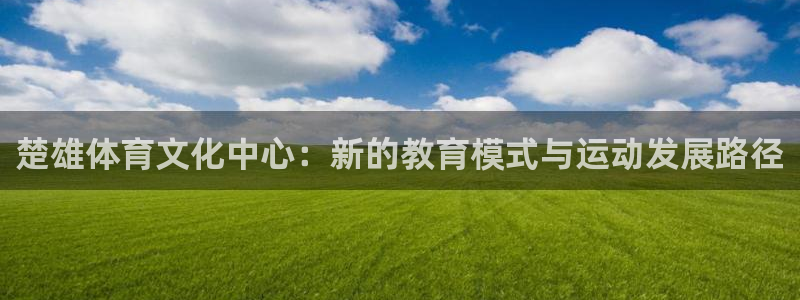 vsport体育在线官网