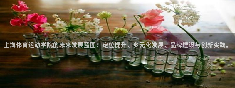vsport体育在线官网