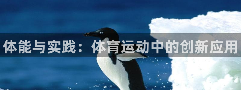 vsport体育在线官网