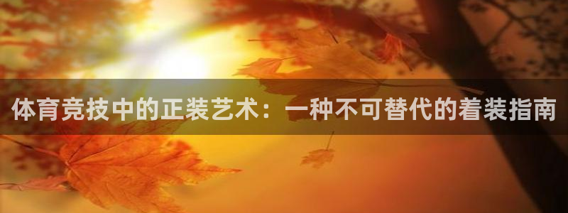 vsport体育在线官网