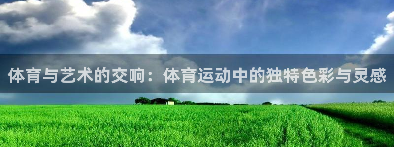 vsport体育在线官网：体育与艺术的交响：体育运动中的独特色彩与灵感