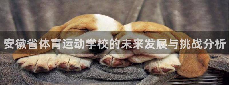 vsport体育：安徽省体育运动学校的未来发展与挑战分析