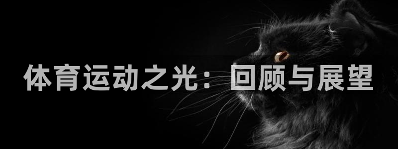 vsport体育：体育运动之光：回顾与展望