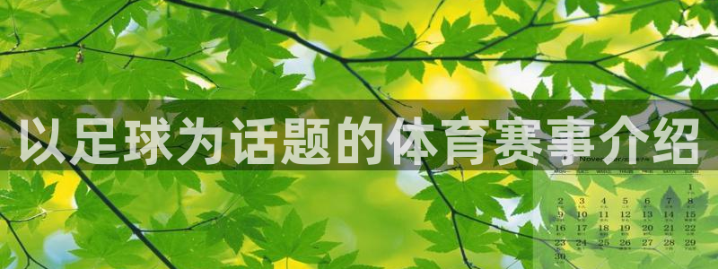 vsport体育在线官网：以足球为话题的体育赛事介绍