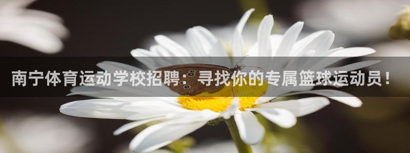 vsport体育在线官网：南宁体育运动学校招聘：寻找你的专属篮球运动员！