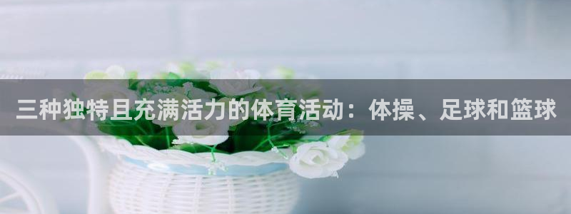 vsport体育：三种独特且充满活力的体育活动：体操、足球和篮球