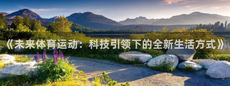 vsport体育在线官网