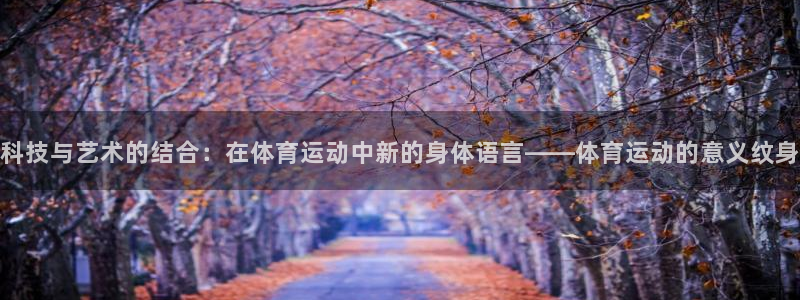 vsport体育在线官网