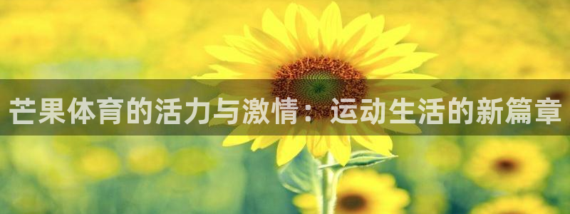 vsport体育在线官网