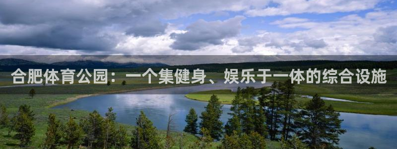 vsport体育在线官网
