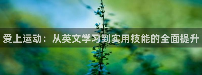 vsport体育：爱上运动：从英文学习到实用技能的全面提升