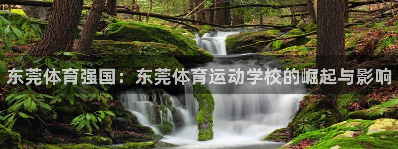 vsport体育在线官网：东莞体育强国：东莞体育运动学校的崛起与影响